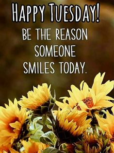 AlbertaGirl34's tweet photo. Good Morning Everyone 😊☕️😊☕️  Have A Terrific Tuesday !!!!!!!!! https://t.co/CqFhEIPCmc