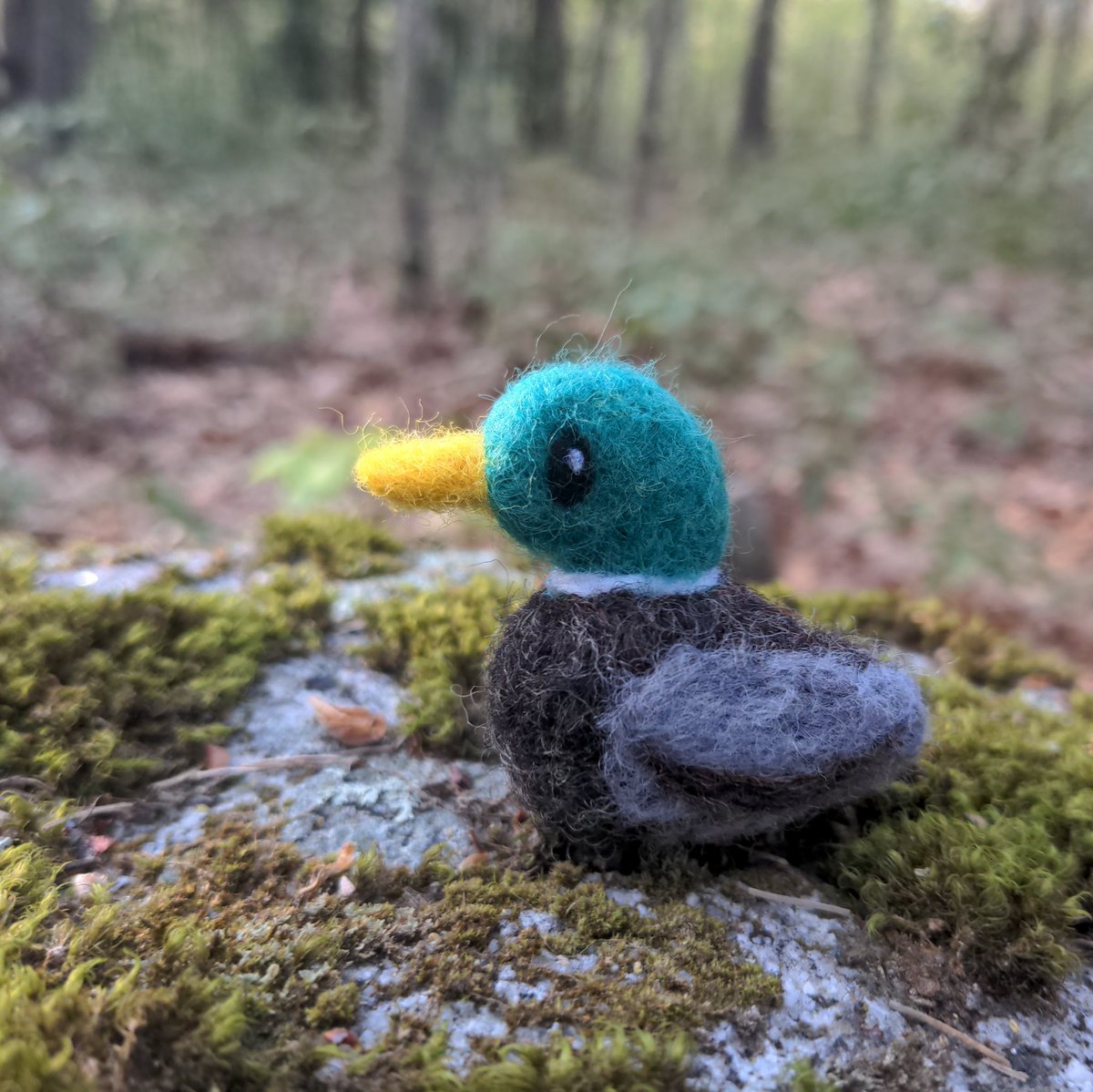 🦆

#needlefelting #mallard #cute #woolart #fiberart #duck #cuteart #tiny #felted #wool #feltingart