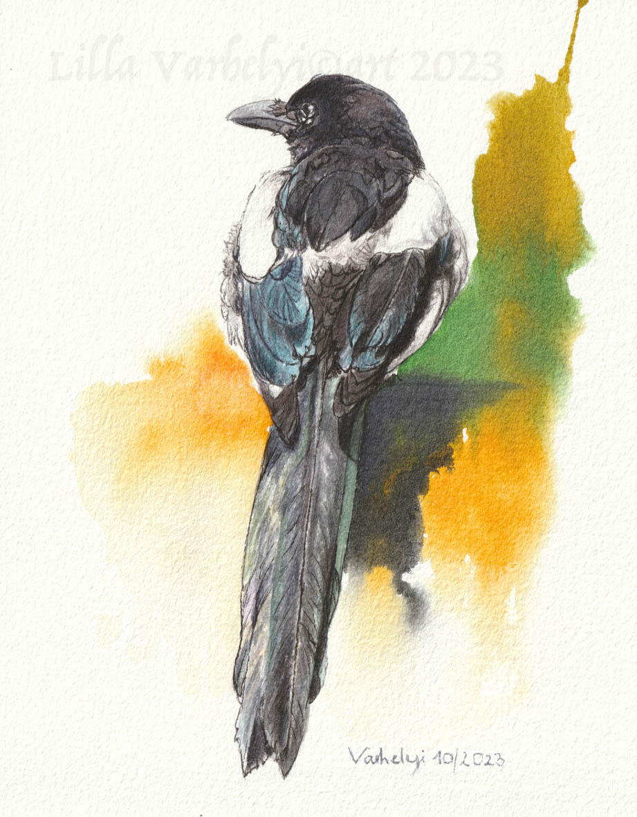 LillaVarhelyi's tweet photo. Neues #Tuschebild #Rabenvogel 19 Elster2
Preis & Infos/PN #Inkpainting 18x14 For Sale
#forsale #artforsale #tusche #kunstkaufen #Elster #wildlifeart #kleineKunstklasse #wildlifedrawing #vogel #originaldrawing #vogelliebe #birds #originalart #magpie #birdart #BirdsOfTwitter #vögel https://t.co/NJkQDUKSMd