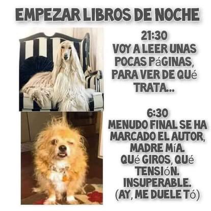 amorenloslibros's tweet image. 😂😂📚📚