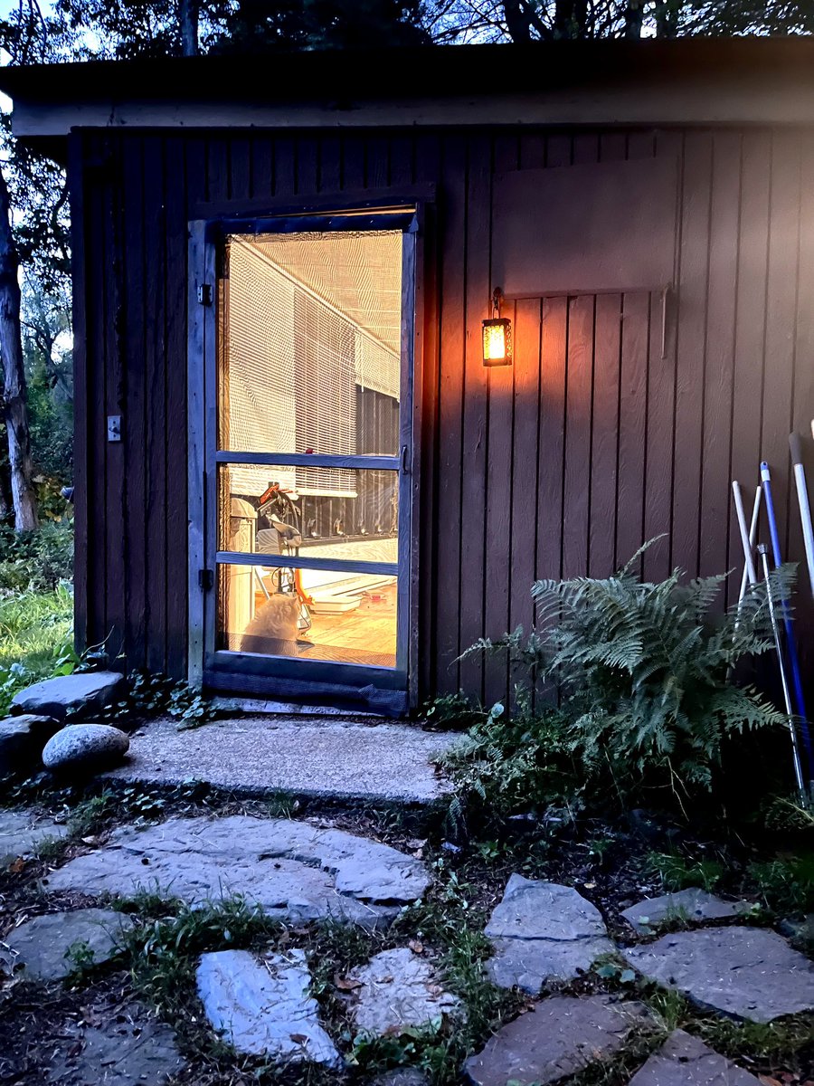 VirtualVoice2's tweet image. Peace and serenity, bills paid on time, money in my pocket, great job, good friends, lovely pet kitties, no stress!! Thank you Lord!!