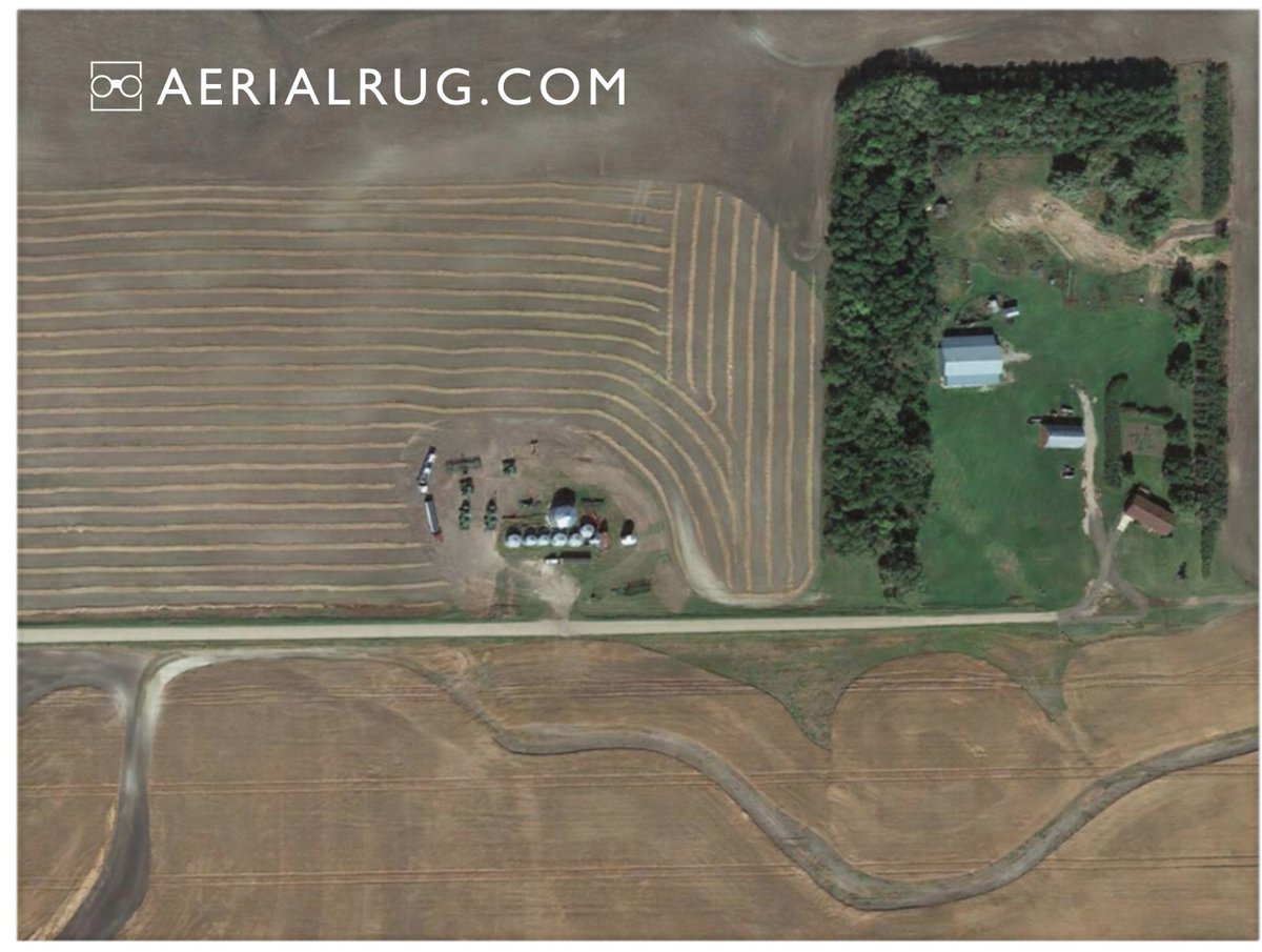 Susan Stroud tweet media