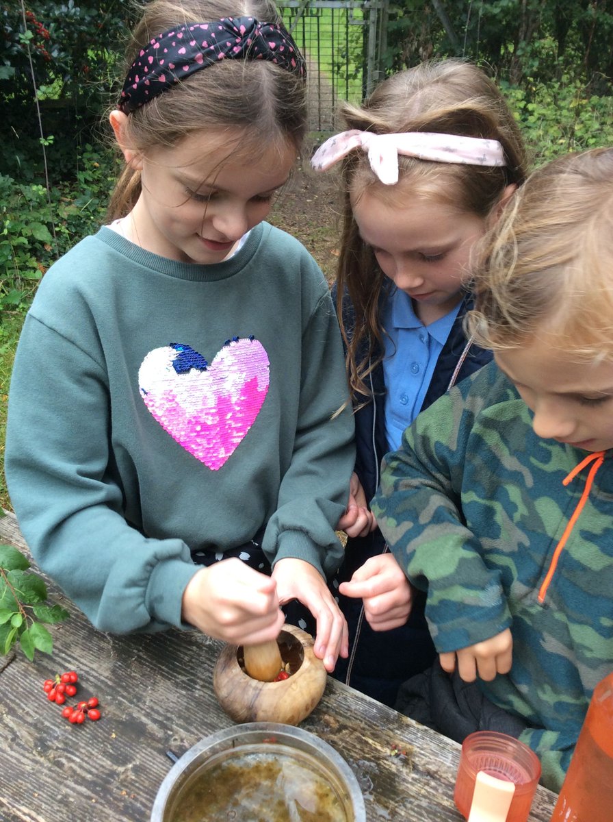 HambrookSchool's tweet photo. #Hambrook4 explored Fungi in #Hambrookforestschool and used their knowledge to make their own mushrooms around the Nature Garden. What 'Fun-Guys' they were! https://t.co/2tZY1QiQ6b