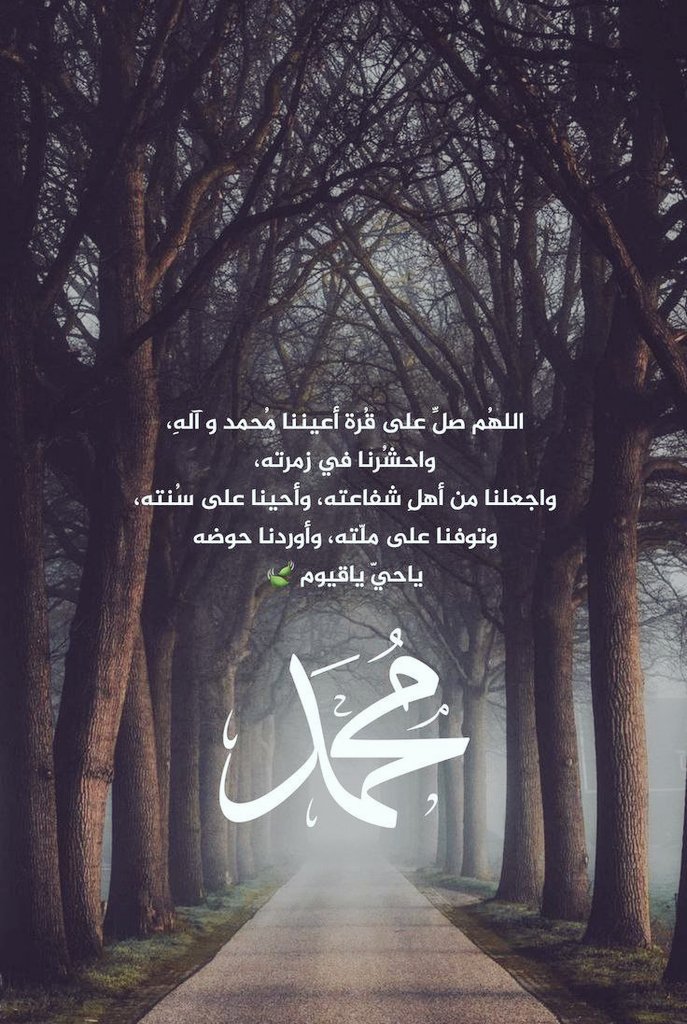 ظَهْرِي لغيرك لستُ أُسْنِدُهُ 
أنت العونُ والسَّنَد
#يارب
🌺🌼🌺🌼🌺🌼🌺
الهي بعظمة هذا اليوم
إلهي بنبي الرحمة وحفيده 🙏
#انا_شيعي
#ولادة_ابا_الزهراء
#ميلاد_الصادقين 
#محمد_رسول_الله