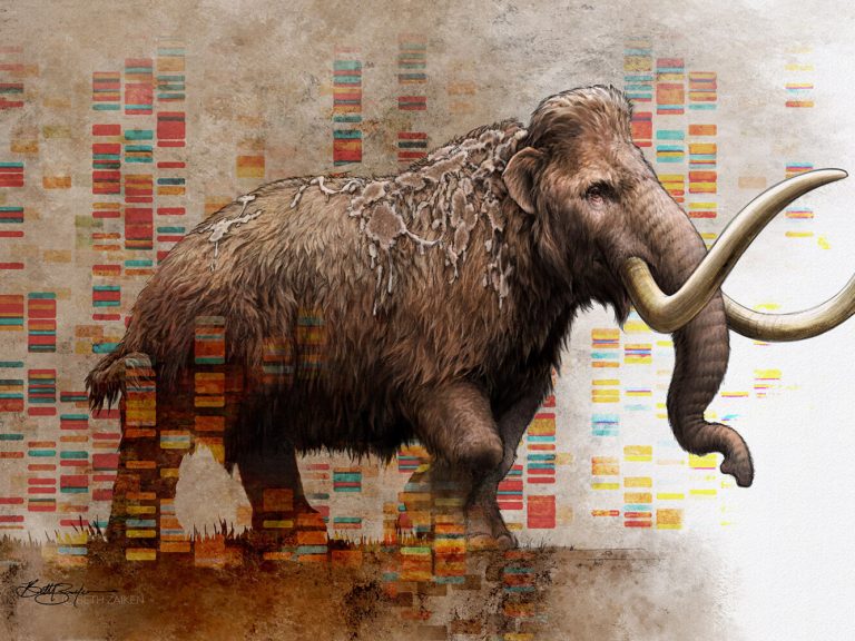 As part of #NobelCallingStockholm2023, this week we are hosting a series of visits to our centre 👉su.se/english/calend… Today, at the Nobel Price Museum, @love_dalen will be talking about ancient DNA and evolution in mammoths🦣🧬 nobelprizemuseum.se/en/dna-reveals… 📷 Ingmarie Andersson
