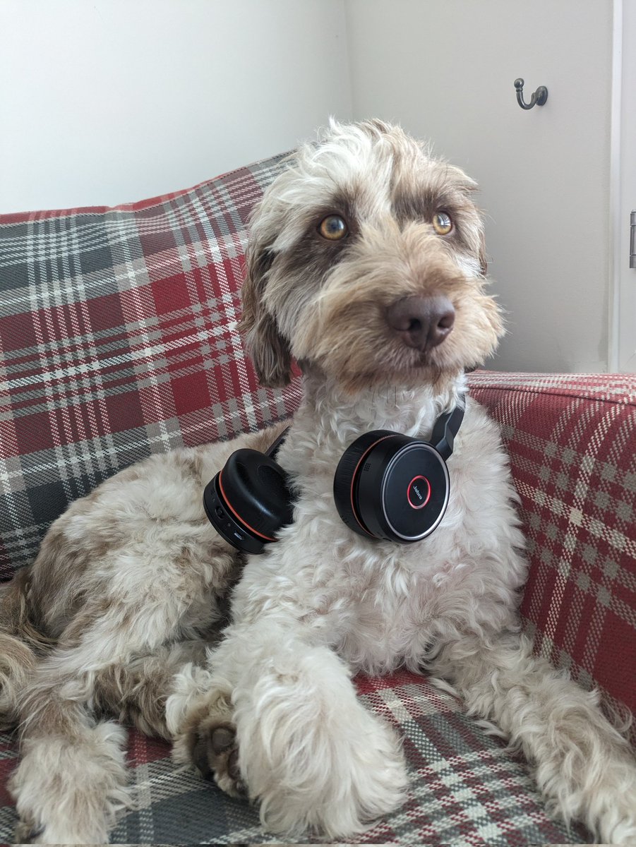 rigarella's tweet image. Lord Fenton enjoying the #dppc 2023... he seems a bit concerned though