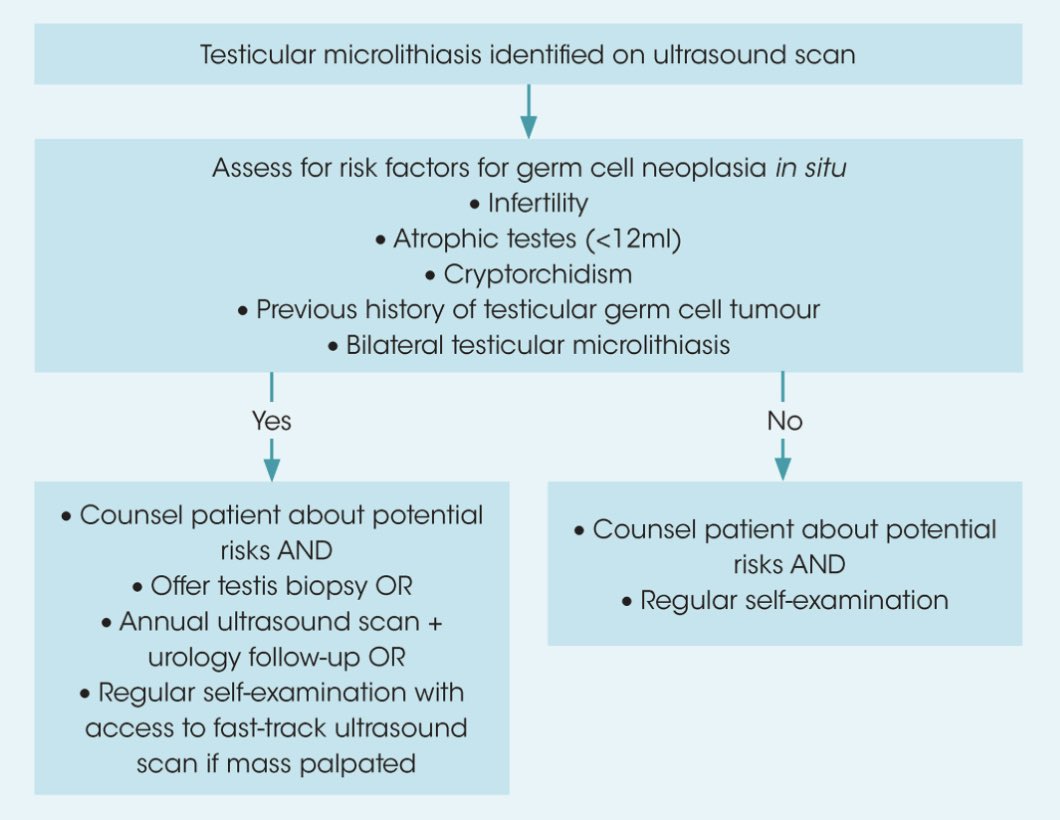 Mark Yao (@marky_urol) on Twitter photo Ever wondered what to do when you see testicular microlithiasis on that ultrasound you ordered? Have a read in <a href="/TrendsMenHealth/">Trends in UROLOGY & MENS HEALTH</a> for an easy to follow flow chart to aid decision making <a href="/mariasatchi/">Maria Satchi</a> #urology #urosome #testiscancer #cancer #andrology #oncology Ever wondered what to do when you see testicular microlithiasis on that ultrasound you ordered? Have a read in <a href="/TrendsMenHealth/">Trends in UROLOGY & MENS HEALTH</a> for an easy to follow flow chart to aid decision making <a href="/mariasatchi/">Maria Satchi</a> #urology #urosome #testiscancer #cancer #andrology #oncology