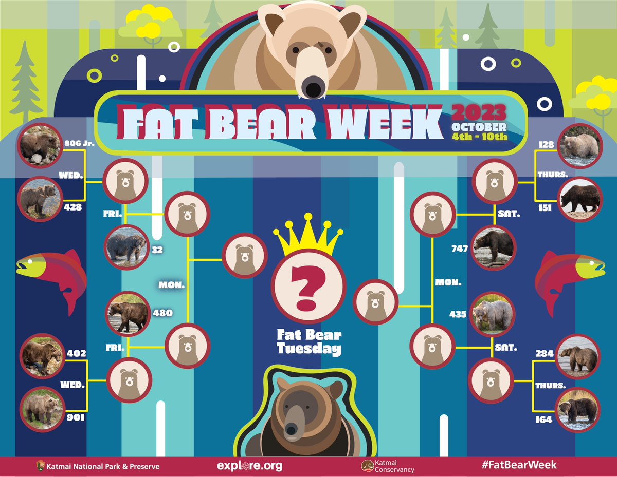 Katmai National Park (@katmainps) on Twitter photo #FatBearWeek begins tomorrow! Presenting your Champions of Chomp & wide-load warriors! These bulging beasts will battle it out to see who you will crown the biggest belly on Brooks River! 
New bear bracket just dropped. Fill out your bracket before the competition heats up. ๐ฅ #FatBearWeek begins tomorrow! Presenting your Champions of Chomp & wide-load warriors! These bulging beasts will battle it out to see who you will crown the biggest belly on Brooks River! 
New bear bracket just dropped. Fill out your bracket before the competition heats up. ๐ฅ