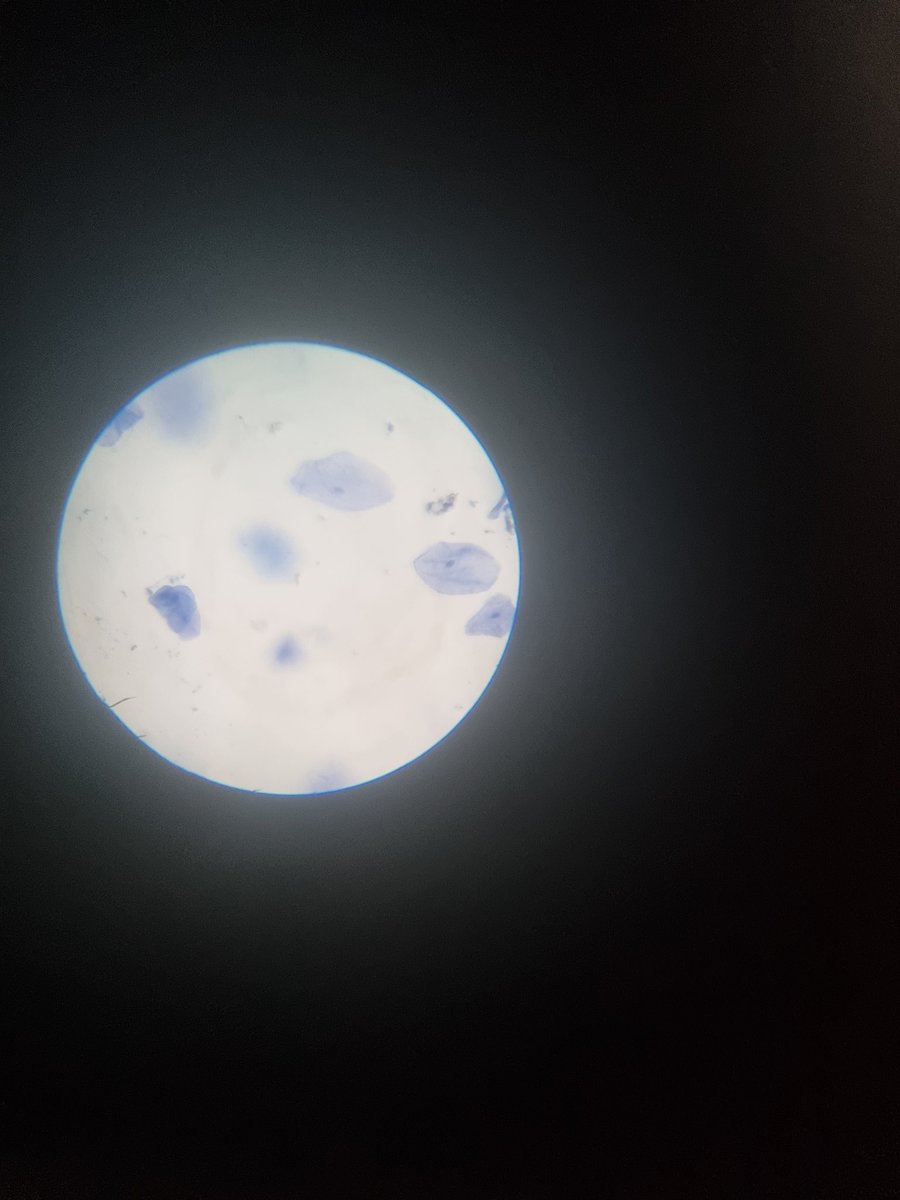 rastrickscience tweet picture