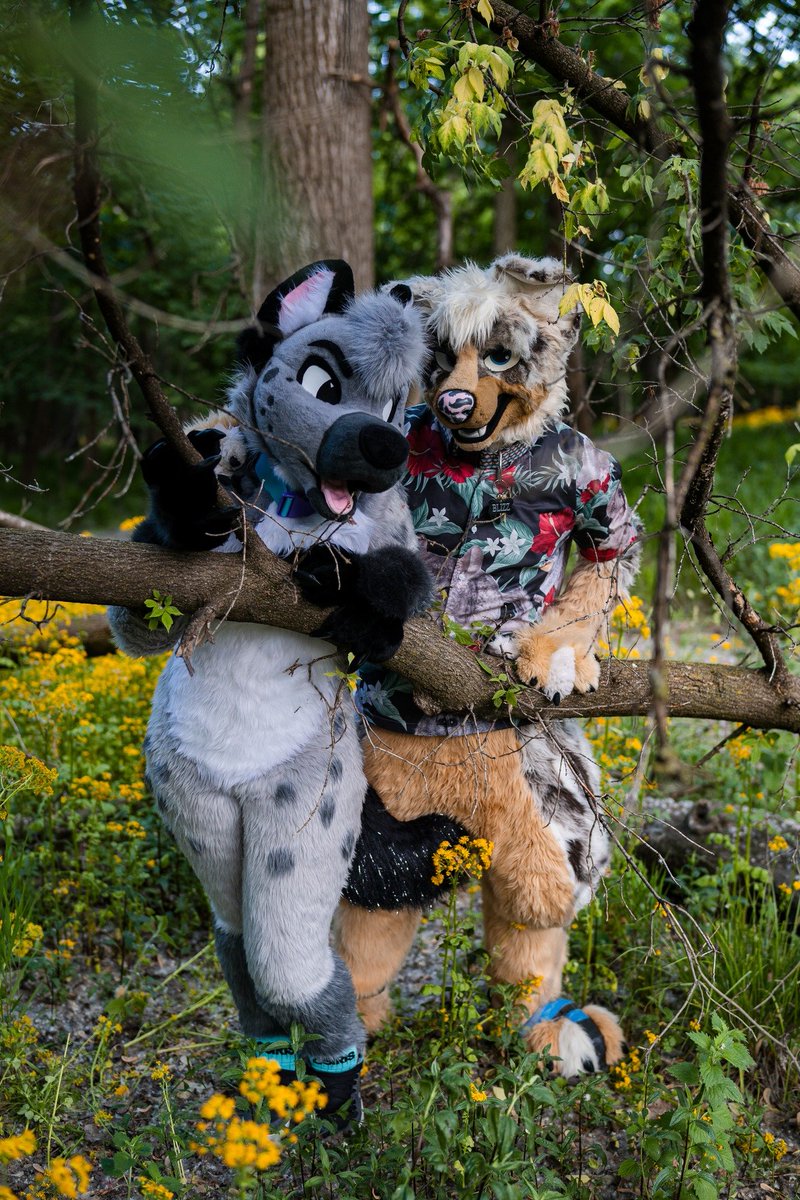 Ashes_Wolf's tweet photo. #NationalBoyfriendDay 
@Bizzy_Dog <3 https://t.co/8r5GiV18ZM