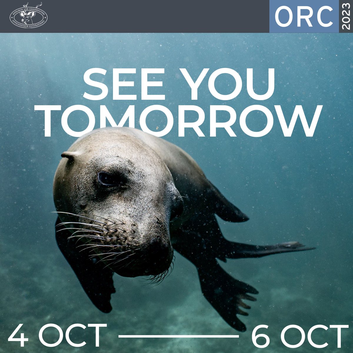 Just one night until the 12th Oppenheimer Research Conference. See you tomorrow morning!

#ORC2023 #OGRC