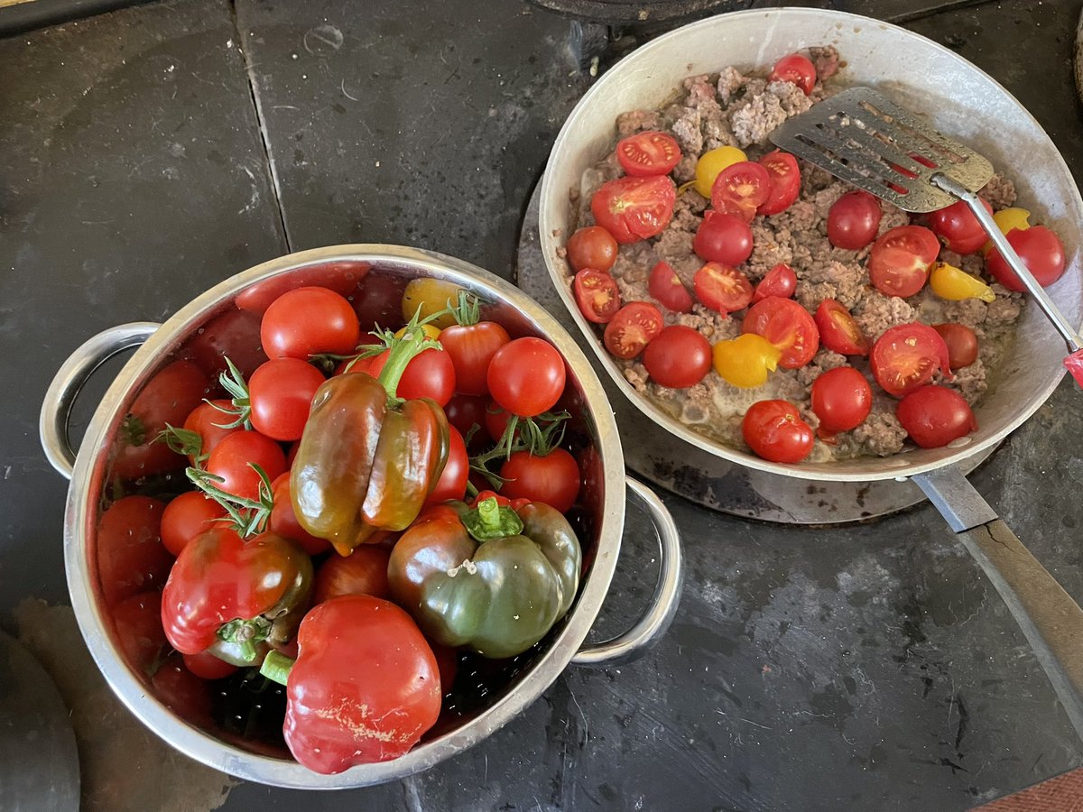 ZwartblesIE's tweet photo. Home grown food is often the most delicious.
Why?
Because you understand what hours of work have gone into growing, keeping alive&what allows it all to thrive in order to have vegetables&meat to cook&eat.
There’s a humble honest honour in being able to grow&eat one’s own food https://t.co/d3skEiT95N