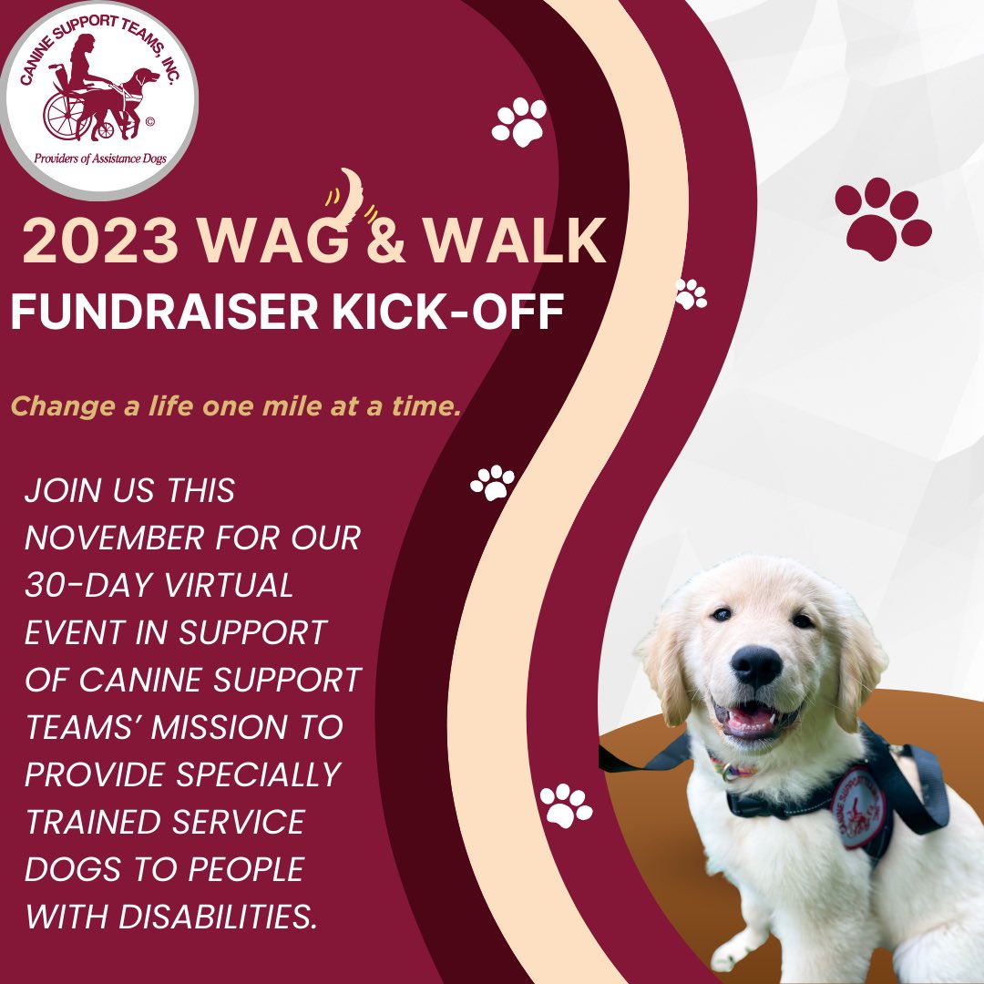 Canine_Support's tweet photo. November is our annual month-long Wag &amp; Walk fundraiser! 
All funds raised will support our mission of providing specially trained service dogs for people with disabilities!

*click the link in our bio to purchase shirt race packages, create your teams, or donate directly* https://t.co/kbgZb4jgP5
