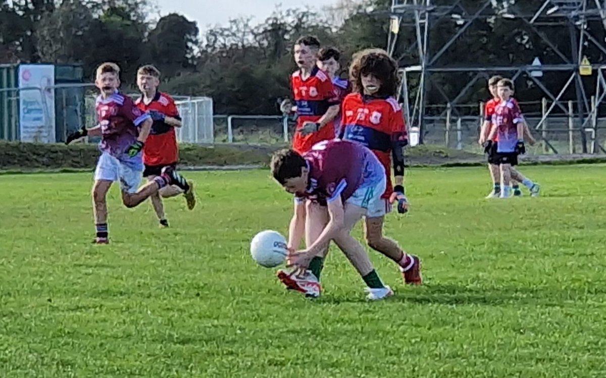 Christ the King B.N.S. tweet media