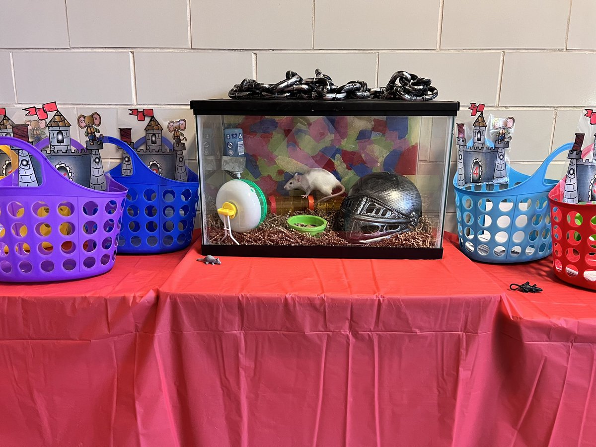 CassieSmolen tweet media