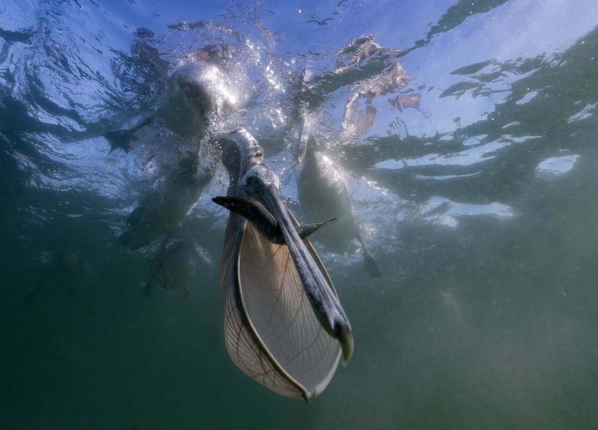 Changemaker Talent tweet media