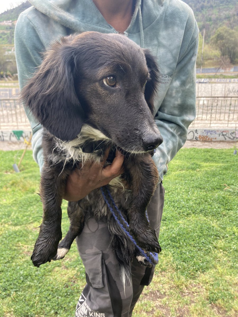 Kathy Vergara tweet media