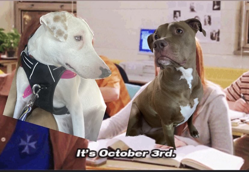 They are so fetch