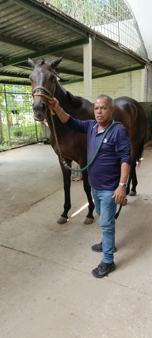 Ismael01paredes's tweet photo. #Hipismo Reina Her esperando estar en óptimas condiciones para correr. https://t.co/CMekb0RyRF
