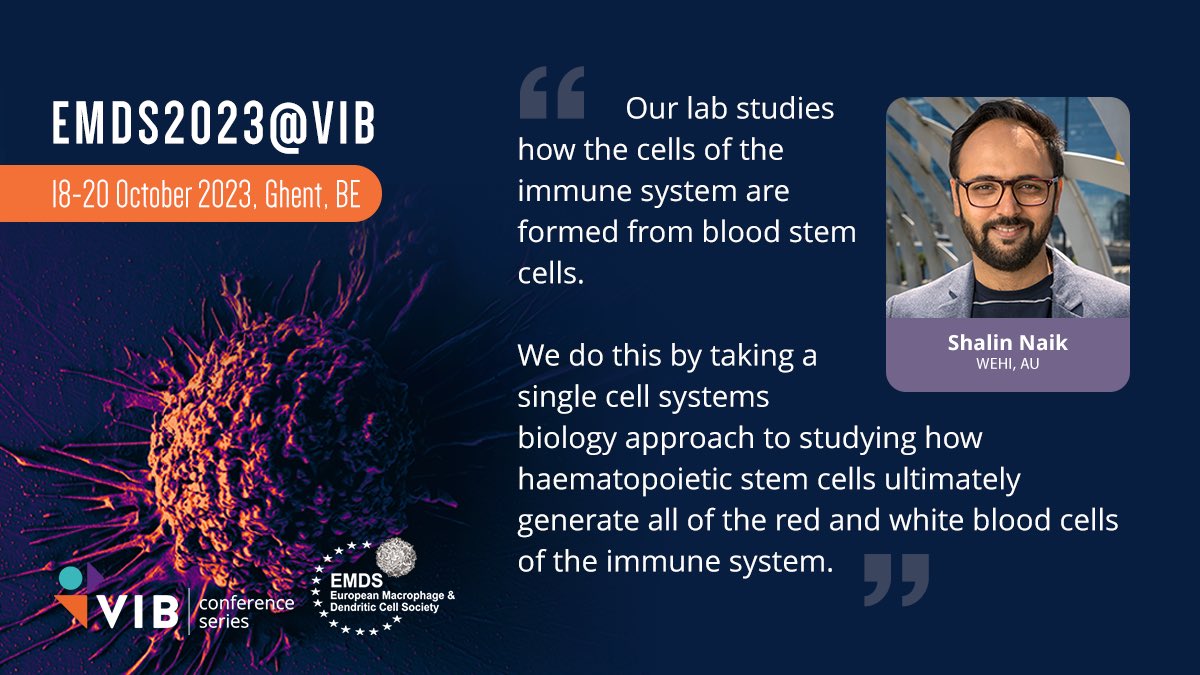 Kate_J_Waller's tweet photo. Don’t miss the invariably interesting talk by @shalinhnaik about myeloid cell relationships at a clonal 👯 level at this years #EMDS 🇧🇪
🕰 Last day to register!!
Find out more: https://t.co/gsSxj9AtI0 https://t.co/AAMLTZDxC4