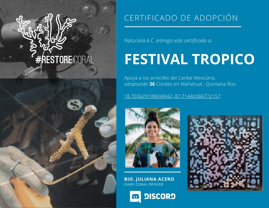 RestoreCoral's tweet photo. ¡Sumérgete en un mundo de esperanza y resiliencia! Gracias al Festival @tropicomx por haber adoptado 29 corales en Cozumel y 36 corales en Mahahual. Seguimos trabajando en restaurar y proteger nuestros preciosos arrecifes. #MeUrgeTropico 
full info: https://t.co/MOHhQGKpIs https://t.co/YLddJukeR5