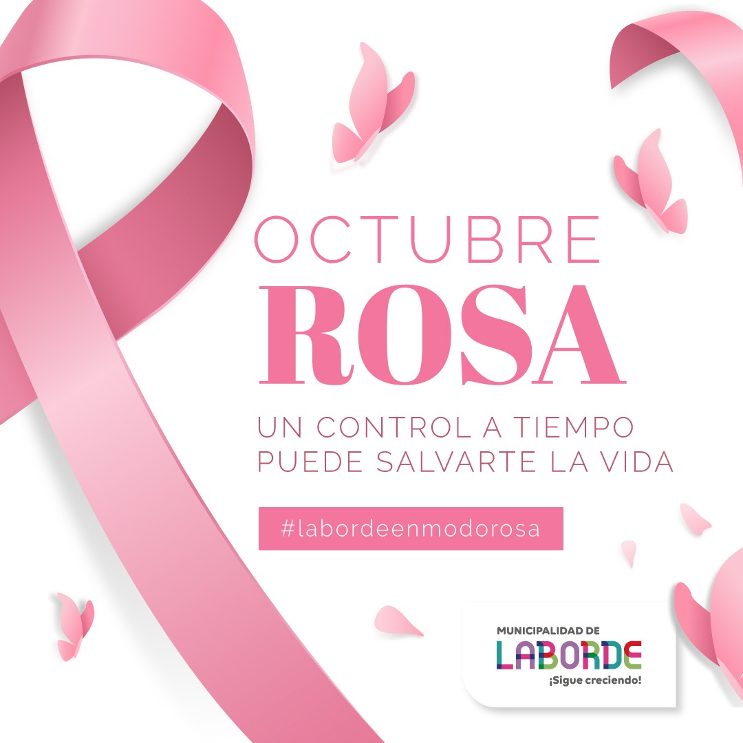 munilaborde's tweet photo. https://t.co/2uRb2vUFmu