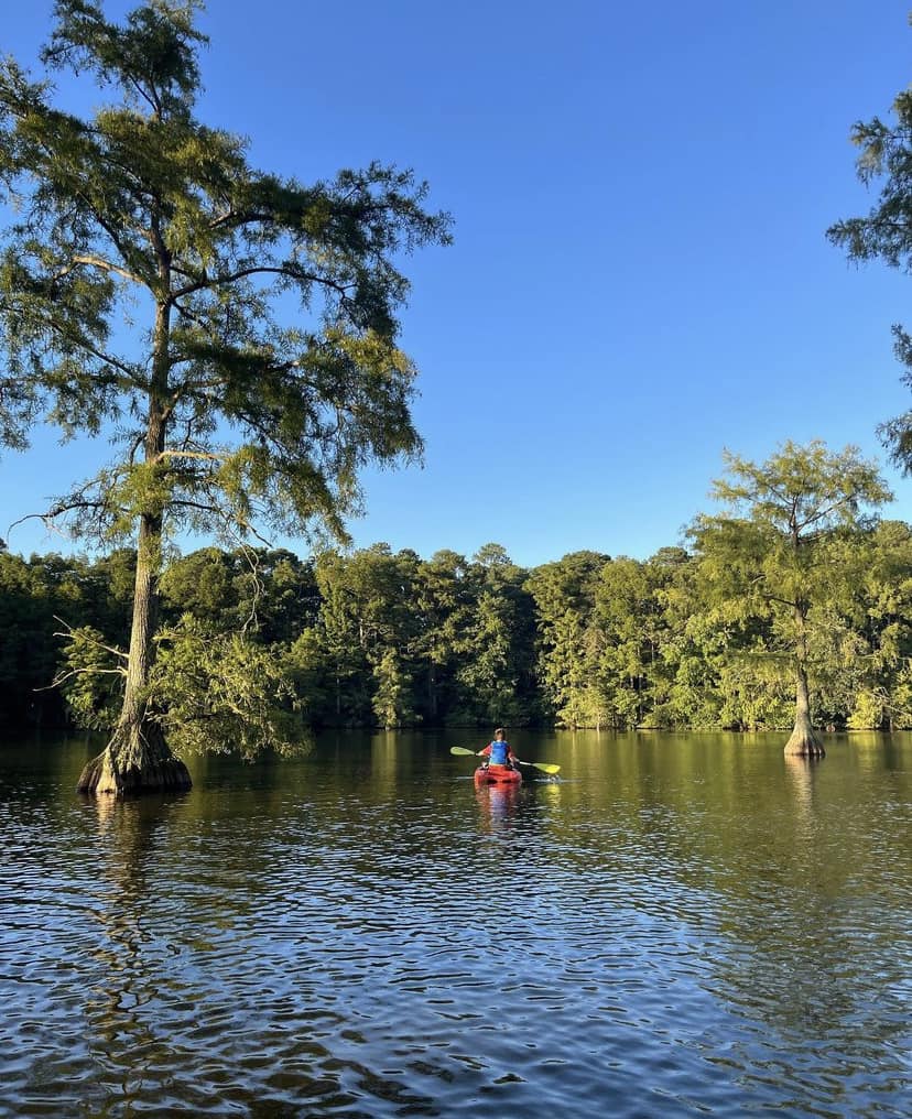 Just a short drive inland from the Quiet Resorts is Trap Pond State Park! The perfect spot for a paddle or hike in the cool fall weather. It is also a great spot for leaf peeping as the weather begins to change.

📷: @raisingmavericks