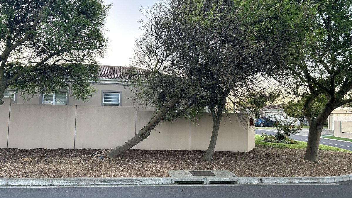 svisagie's tweet photo. @CityofCT anything going to be done about this as it has been logged almost a month ago??  Reference number 9115605832 https://t.co/xJ3DSasYui