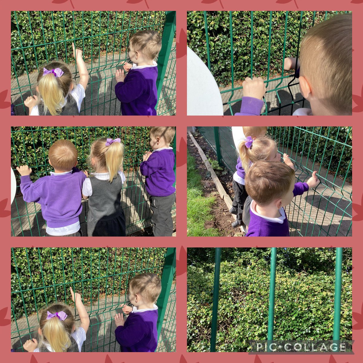 LaceyField EYFS tweet media