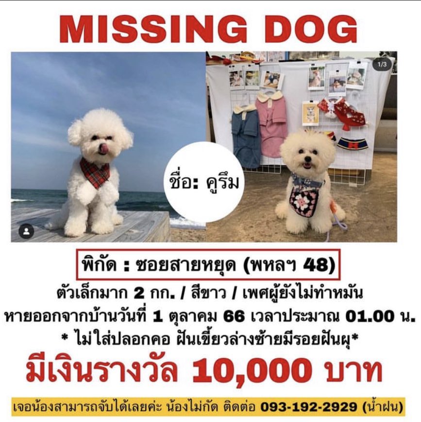 คุโรมนเน่ tweet media