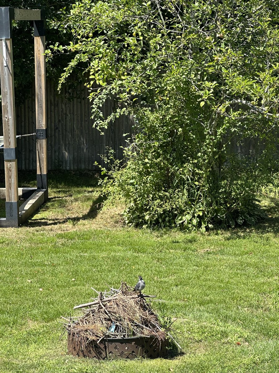 Trees are so important for neurochemistry in the #healingvrse 

Great quote from the Overstory by Richard Powers - a magnificent book about trees! 

You and the tree in your backyard come from a common ancestor. A billion and a half years ago, the two of you parted ways. But even