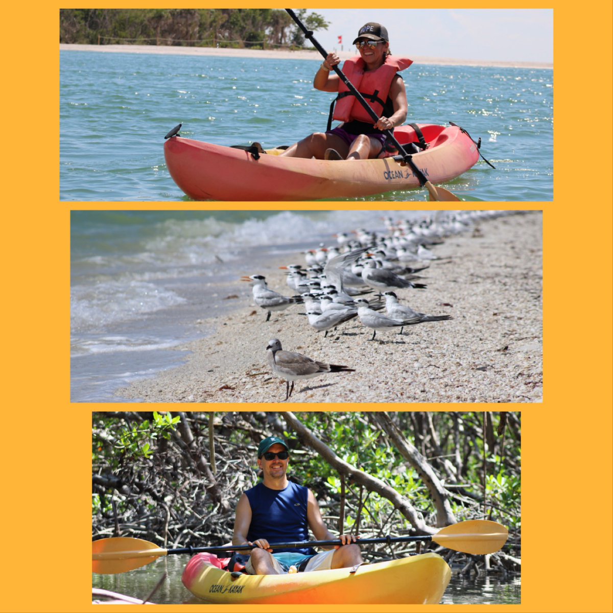 ExposuresNauti's tweet photo. Our favorite month of the year is finally here! Here’s to long days of kayaking and long nights of horror movie marathons! #kayaking #october #naplesflorida #getoutside #halloweeniscoming https://t.co/WWAr6UuTjY