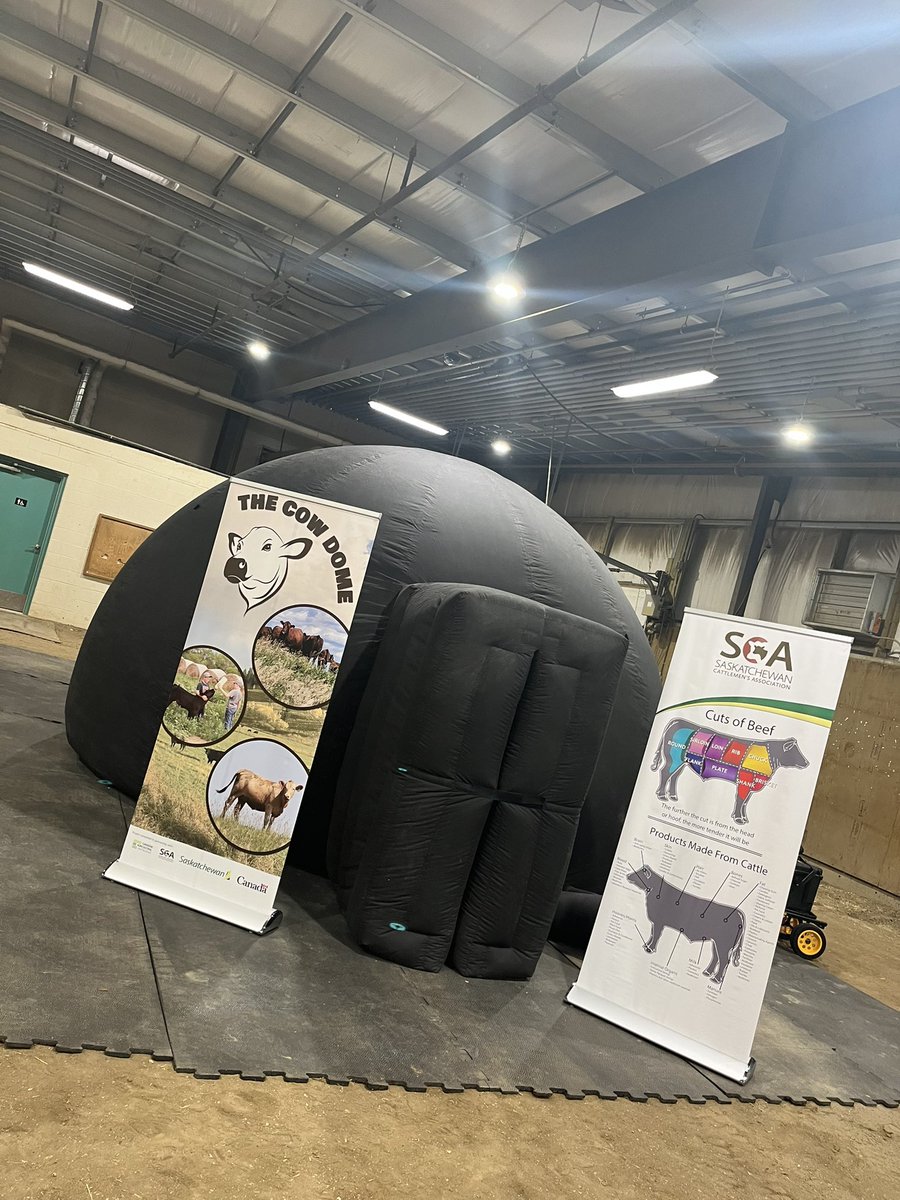 Sask Beef tweet media