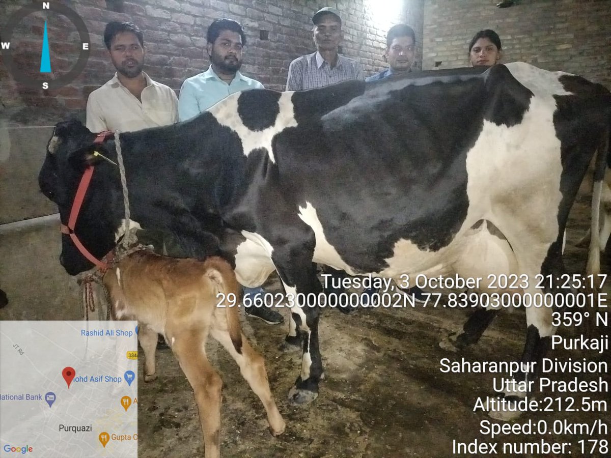 DairyvikasRpg's tweet photo. NCDC 02 cattles 02 unit purchased by  Rudraprayag https://t.co/WjA3QqKvZS
