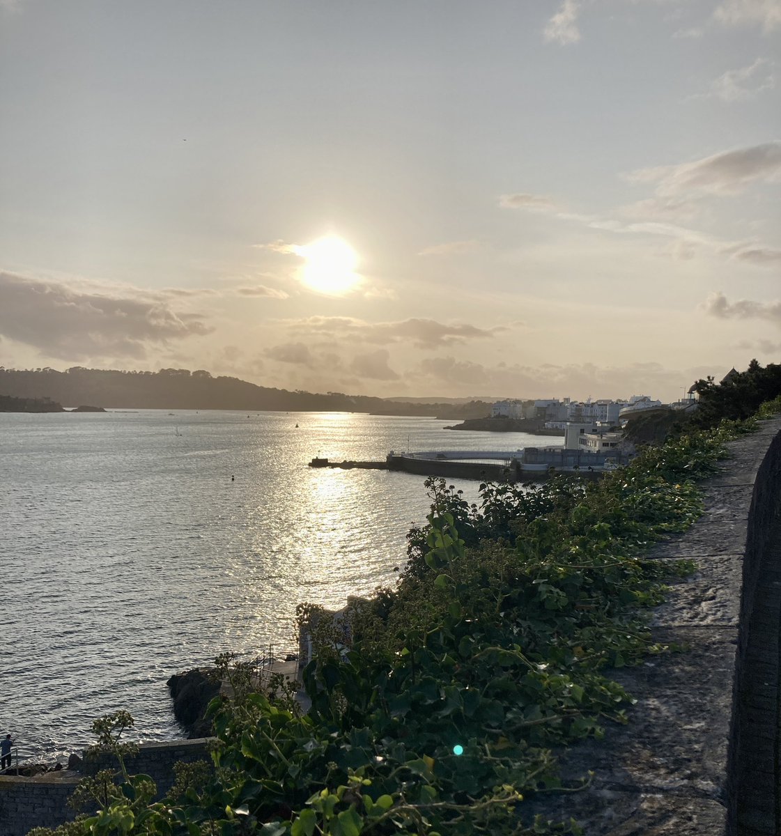 Dan Willis tweet media