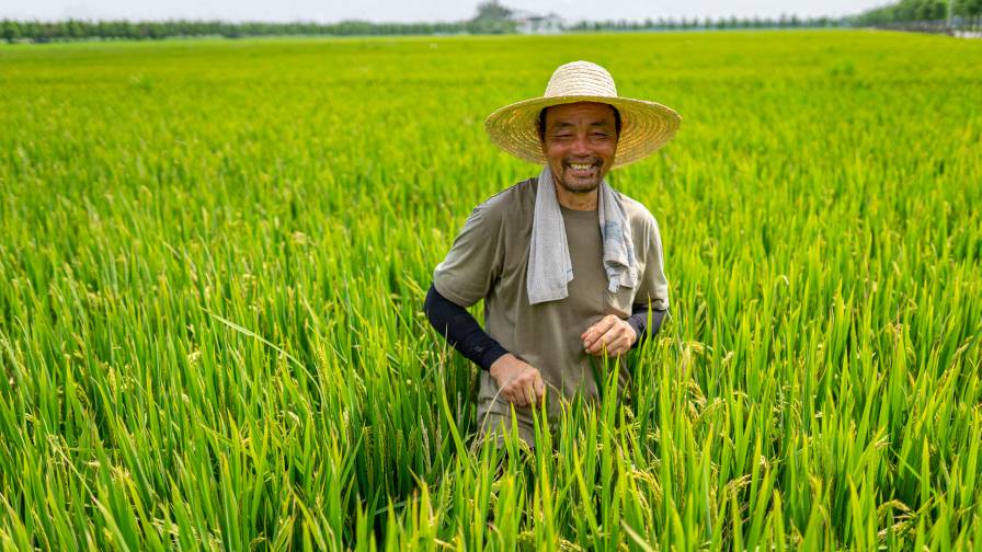 PBioprotech's tweet photo. 📰 #Bioprotection news : @Syngenta , @FMCCorp to Commercialize Breakthrough Herbicide Technology for Rice in Asia
Read more here: https://t.co/M4PBGKxTGk
#innovation #sustainability #agricultureandfarming #agtech https://t.co/EJRhycPIWT