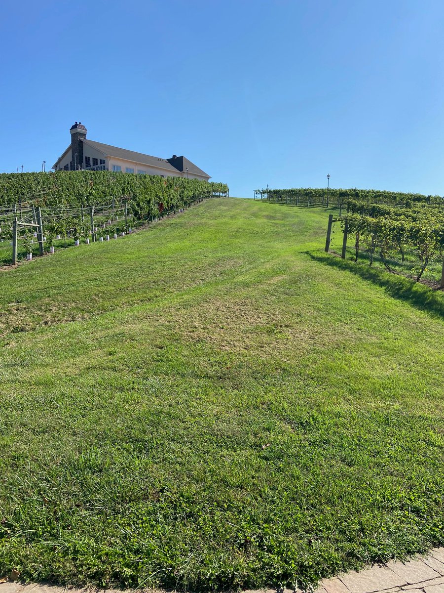 Accuweather says today is "a gorgeous day to be outside." We couldn't agree more! Come out for some wine and to take in the views. #wine #harvest23
