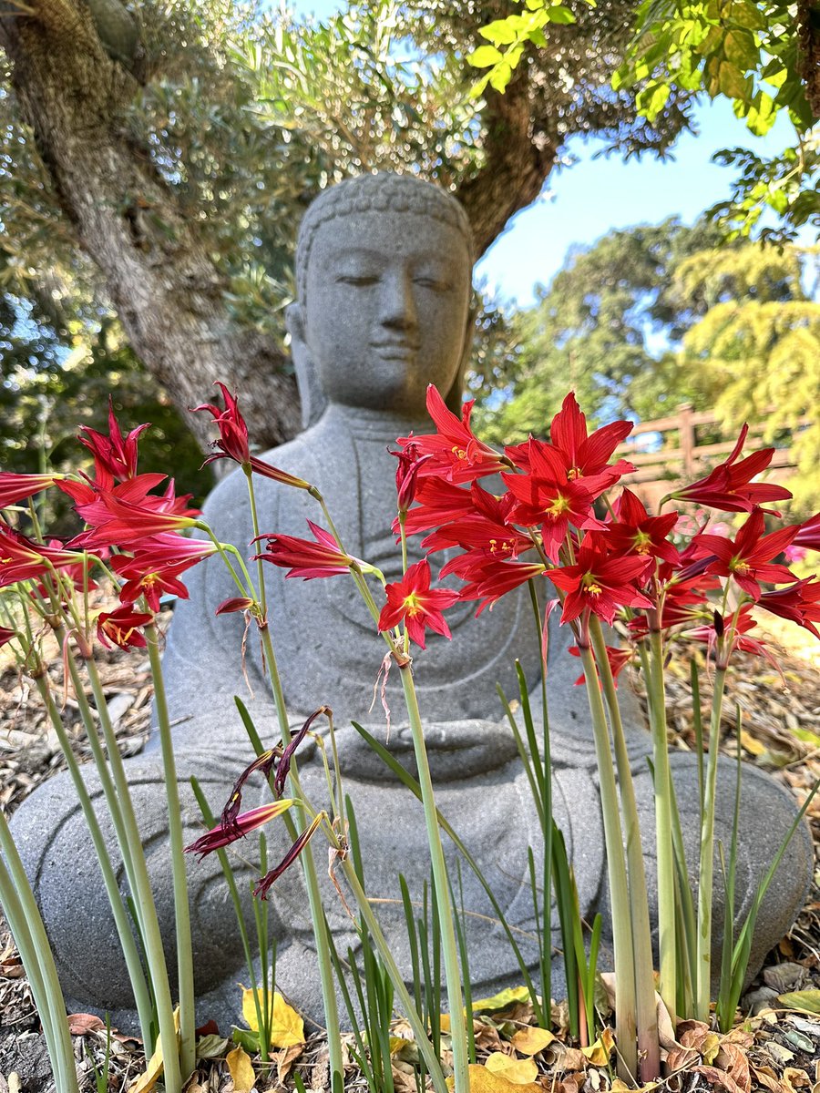 Pay attention to something in your surroundings—the in and out of your breath, the rhythm of your heart, the pain in your knee, a barking dog, the crimson hues of the oxblood. Just rest here and breathe. This moment is meditation. This moment is your life. This moment is enough.