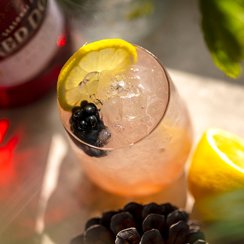 Indulge in the rich flavours of Autumn with our Red Door Autumn Bramble. 

This is a classic signature serve that combines zesty lemon juice, luscious berry flavours and a touch of Crème de Mure. 

Discover the recipe: bit.ly/3PUB9ek

#RedDoorGin
