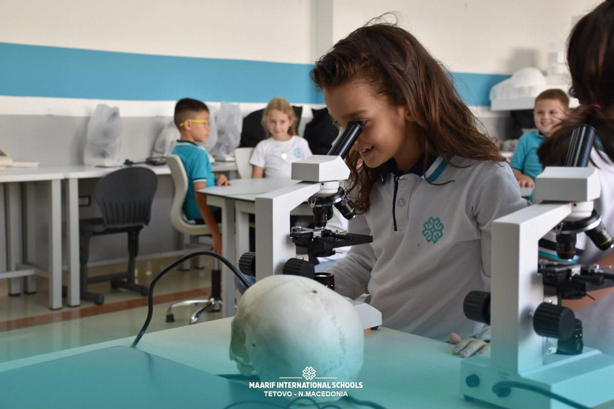Nxënësit e klasave të treta të shkollës ndërkombëtare 'Maarif' në Tetovë, në lëndën e shkencave natyrore, në kabinetin e biologjisë realizuan aktivitet për të përvetësuar pjesët e skeletit të trupit të njeriut.
