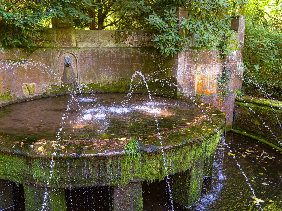 📷  1/1000 sec at f/4,5, ISO 10000, 28 mm (28-75) #dan23freedom
#trees #ilovetrees #tree_magic #cityparks #scenic #urbanpark #publicpark #siteseeing #waterfountain #germany #nordrheinwestfalen