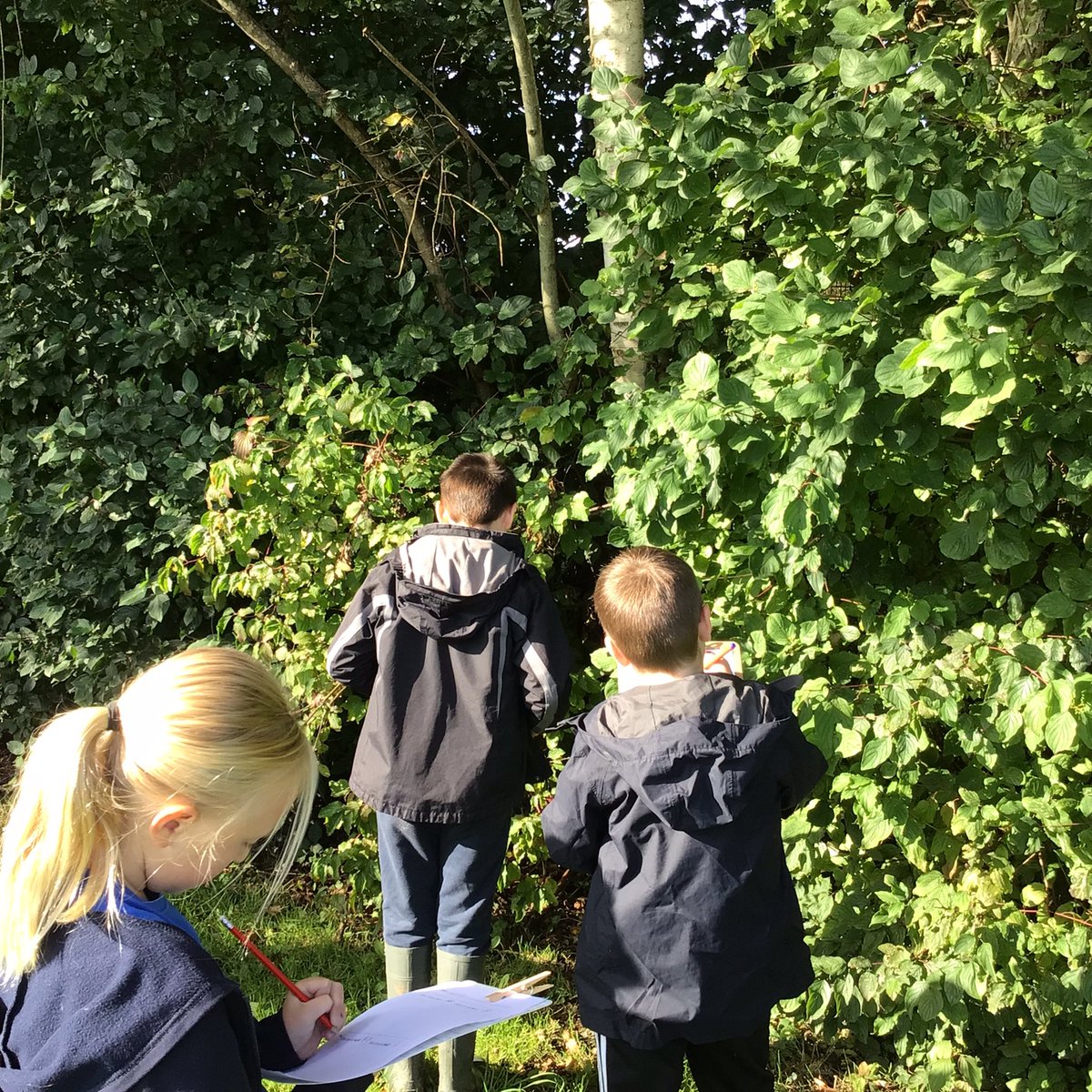 GUPSYear6 tweet media