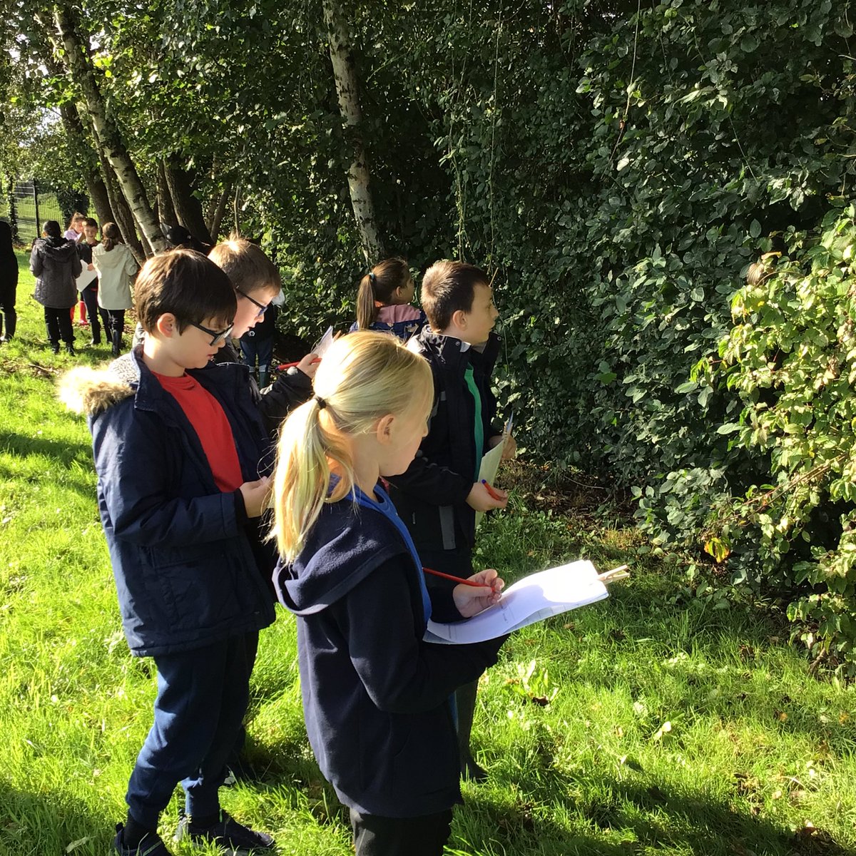 GUPSYear6 tweet media