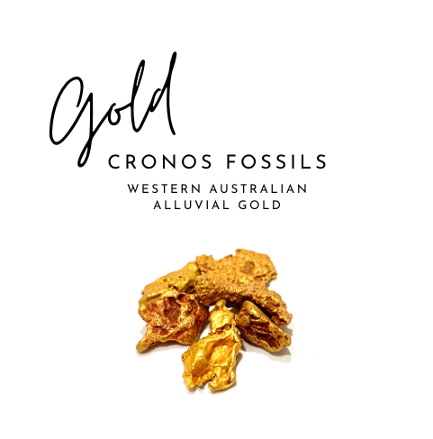 CronosRocksNFT's tweet photo. 🔥RYOSHI DYNASTIES🔥
👉Season 2 Contest👈
🥇Win 1 x piece of CRONOS GOLD🥇
Check our Discord for full contest details
https://t.co/66CEqBuNAJ
#CRONOSGOLD #CROFAM #CRO #CronosNFT https://t.co/PoGvD3CZIw