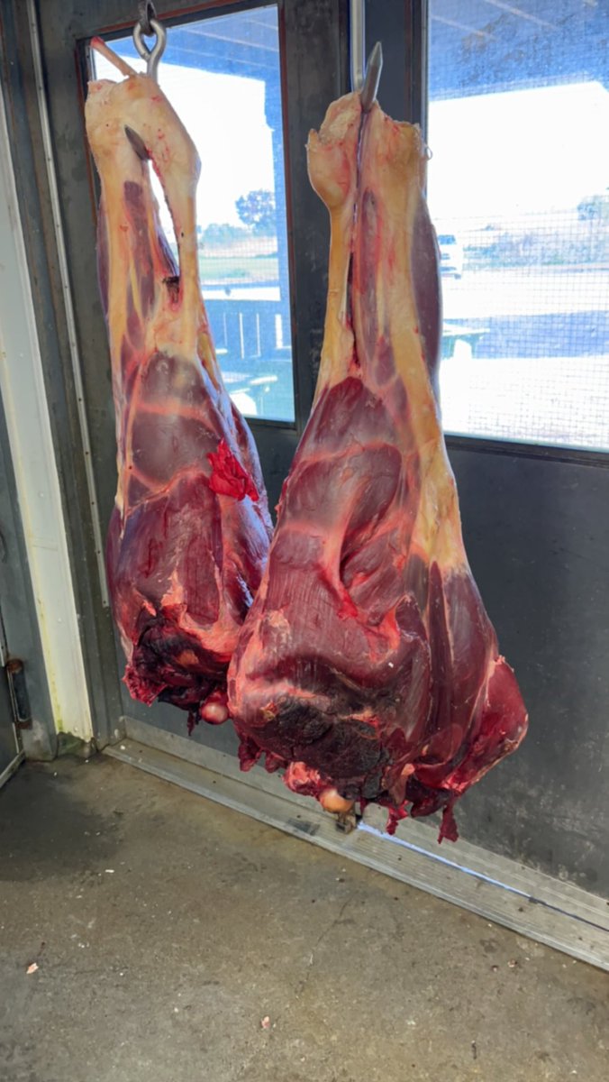 Nick Martin tweet media