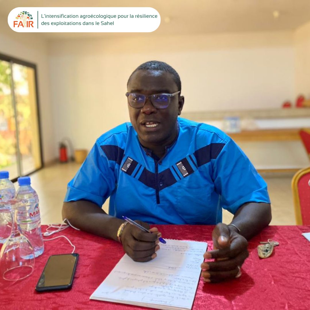 L'équipe de coordination du projet #FAIRSahel au #Sénégal 🇸🇳 se réunit du 02 au 04 octobre 2023, pour effectuer une évaluation à mi-parcours de la campagne de 2023.  

#Agroécologie #AgricultureDurable #SécuritéAlimentaire