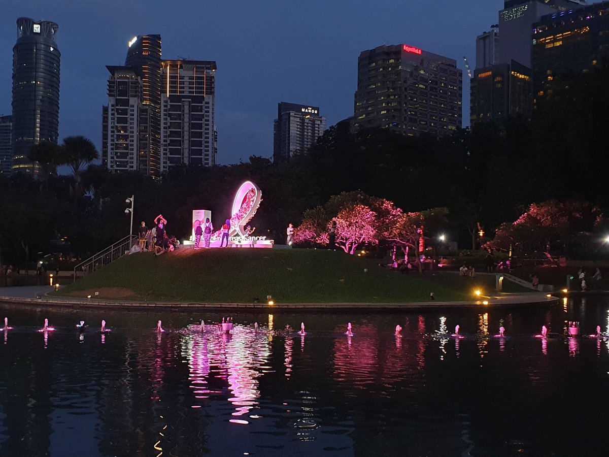 Breast Cancer awareness campaign by Estee Lauder

#timetoendbreastcancer