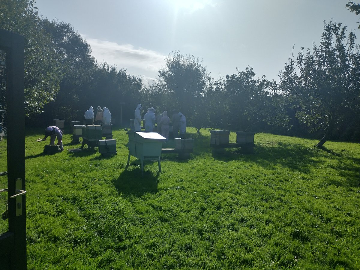 There's not much to do at this time of year at the apiary really, so we just checked the feeders and talked about cutting the grass.

Beautiful weather, great company and delicious cake.... perfect.🐝