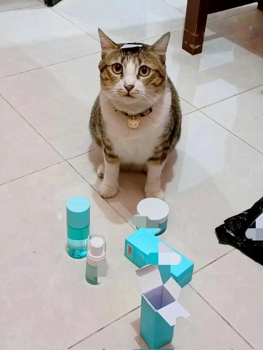 Lialee | VGen Comm tweet media