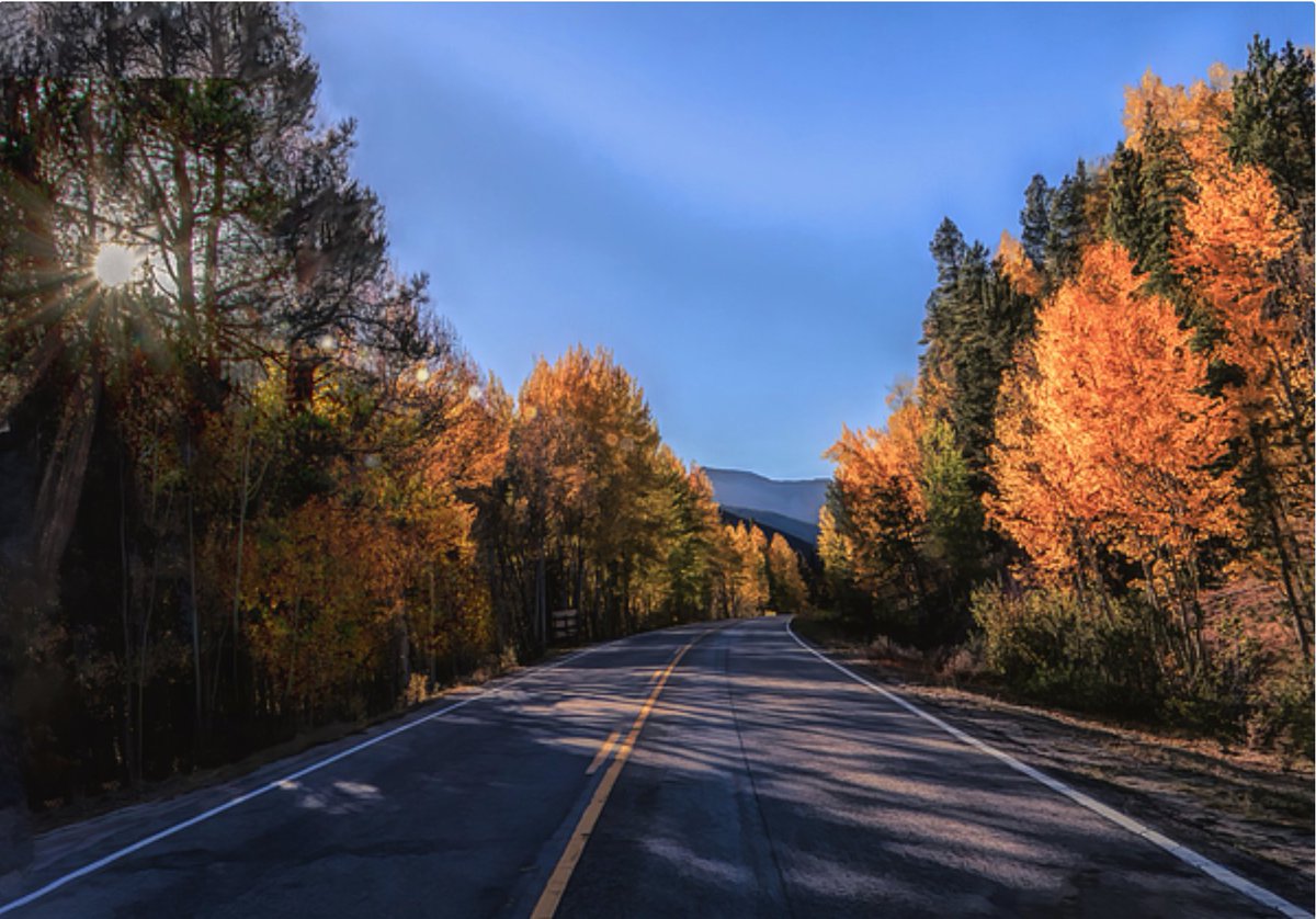 nbrandsberg's tweet photo. Colorado Roadway Golden Autumn Aspens buy here:
https://t.co/qdOXuIxI05
#colorado #aspens #trees #coloradotrees #aspenautumn #coloradoautumnroad #coloradoforest #artforsale #Mastodonart #FediGiftShop #MastoArt #photography #landscapephotography #AYearForArt #travelphotography https://t.co/08O7j80boD